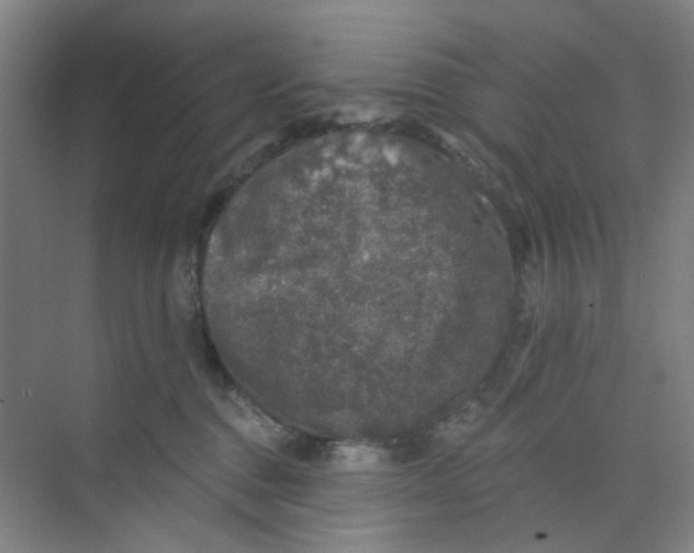 X0000074260376200609222157