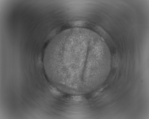 X0000074260377200609222157