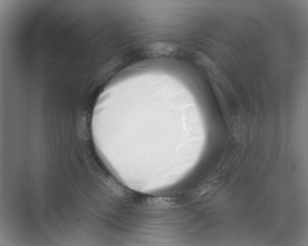 X0000074260378200609222157