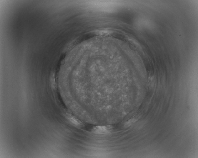 X0000074260381200609222157