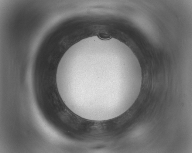 X0000074260383200609222157