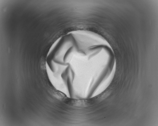 X0000074260384200609222157