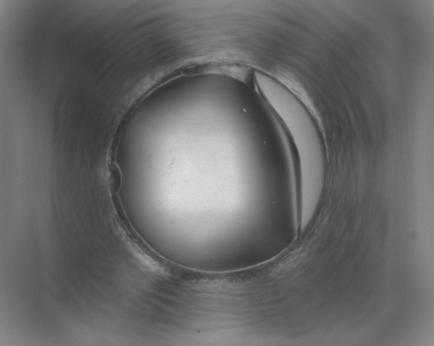 X0000074260389200609222156