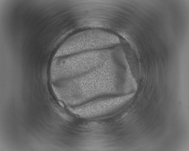 X0000074260390200609222156