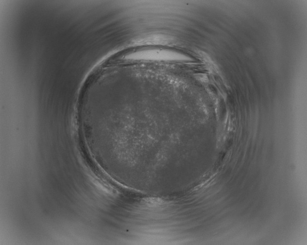 X0000074260392200609222156