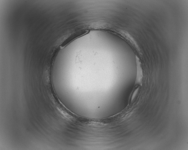 X0000074260393200609222156