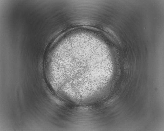 X0000074260394200609222156