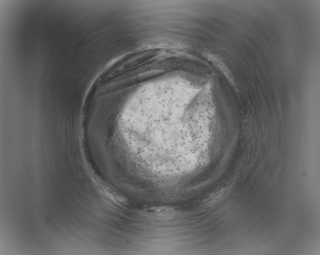 X0000074260395200609222156