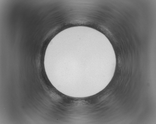 X0000074260396200609222156