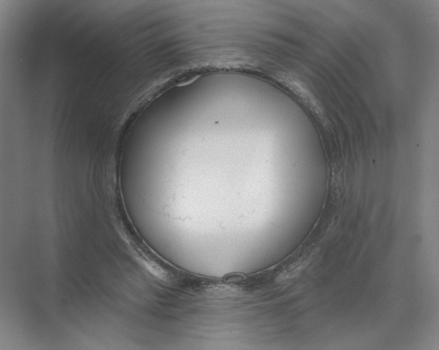 X0000074260397200609222156