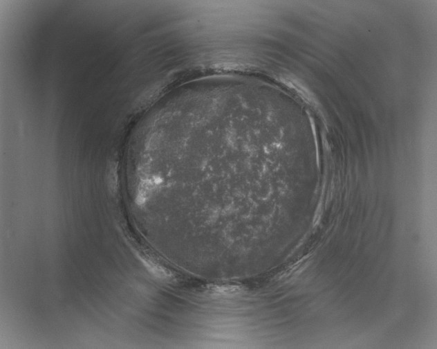 X0000074260401200609222156