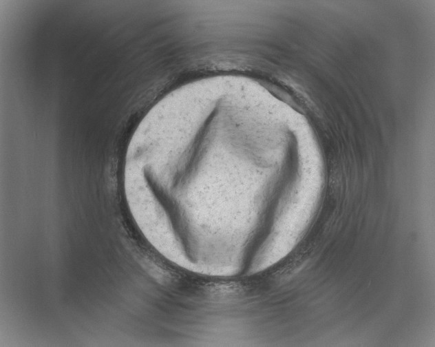 X0000074260402200609222156