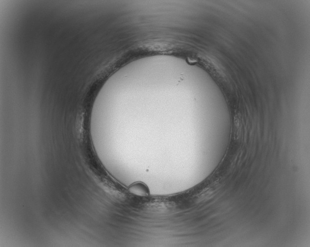 X0000074260404200609222156