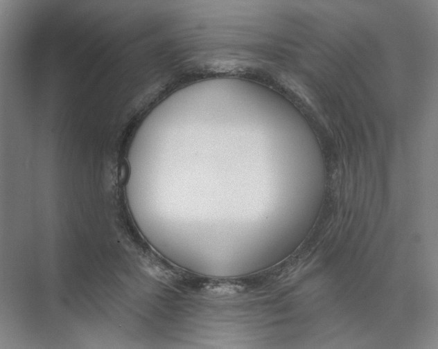 X0000074260407200609222156