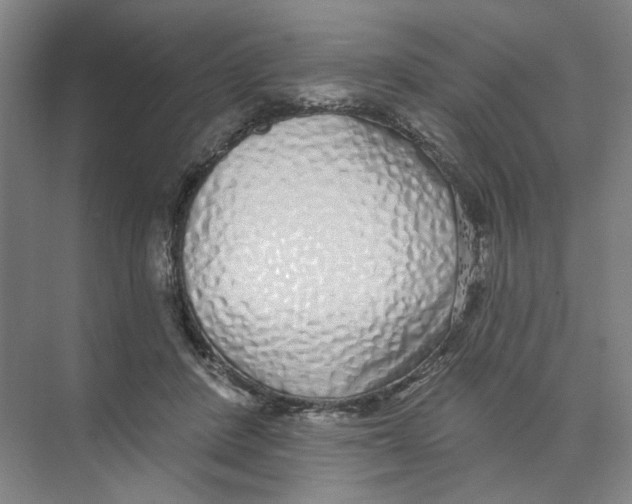 X0000074260408200609222156