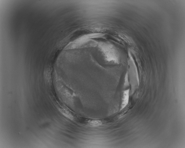 X0000074260409200609222156