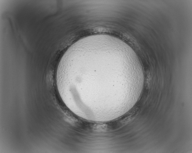 X0000074260410200609222156