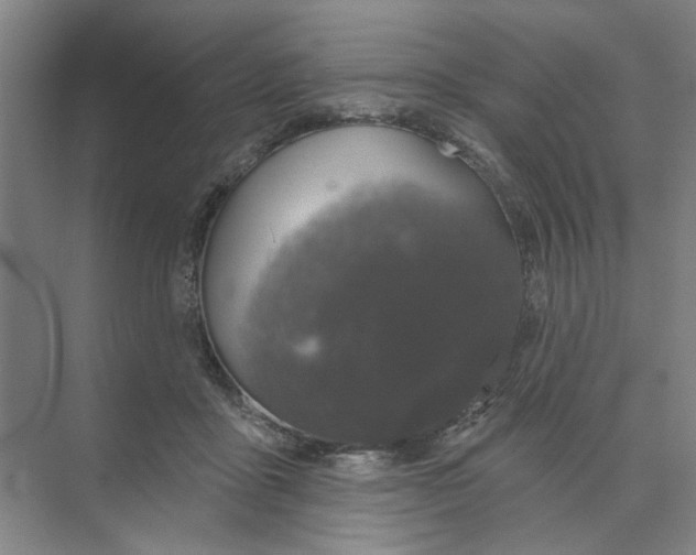 X0000074260411200609222156