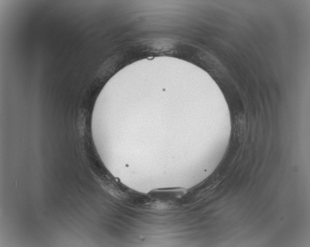 X0000074260412200609222156