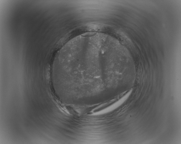 X0000074260413200609222156