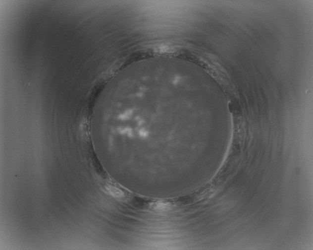 X0000074260419200609222156