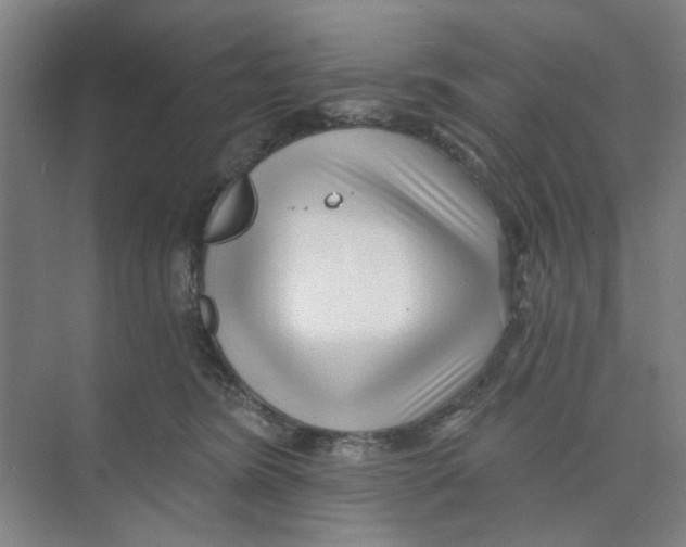 X0000074260420200609222156