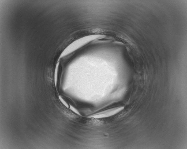 X0000074260421200609222156