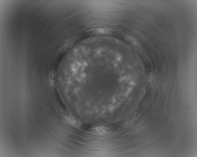 X0000074260423200609222156