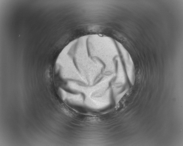 X0000074260424200609222156