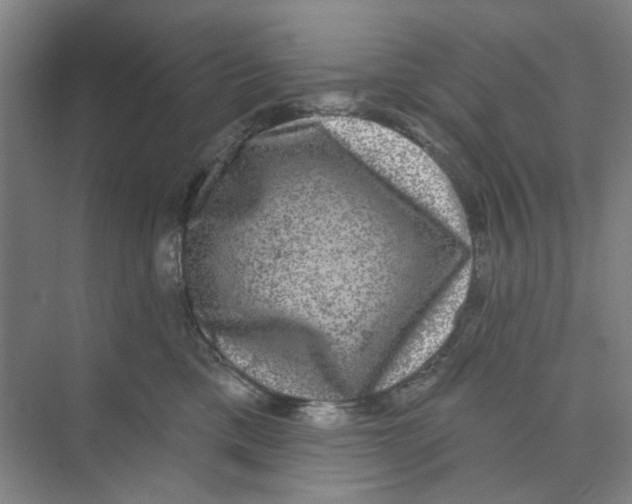 X0000074260425200609222156