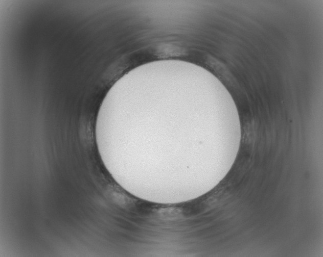 X0000074260426200609222156