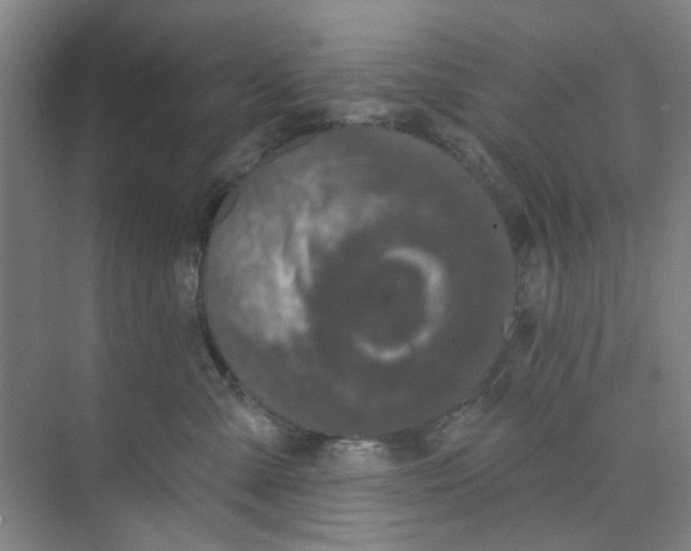 X0000074260427200609222156