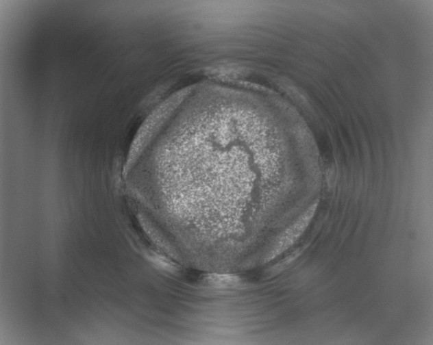 X0000074260429200609222156