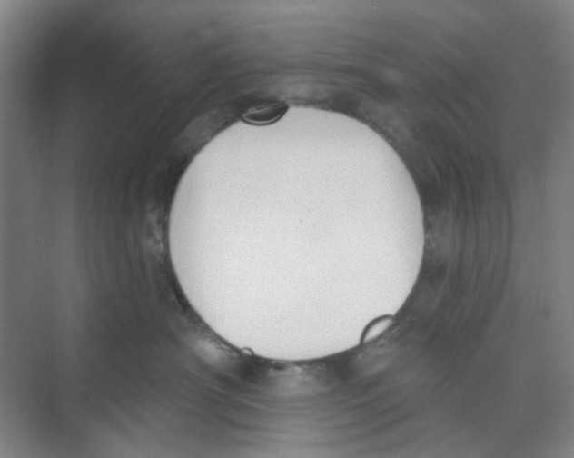 X0000074260430200609222156