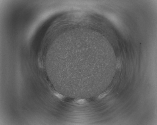 X0000074260431200609222156