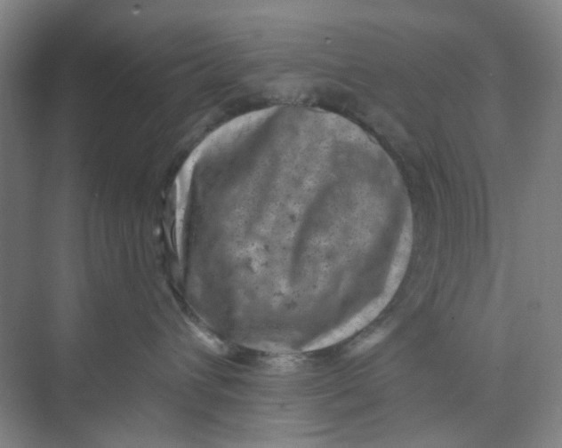 X0000074260432200609222156