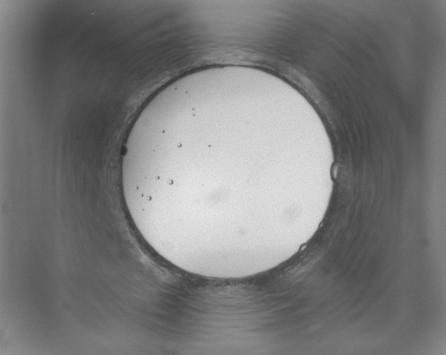 X0000074260433200609222155