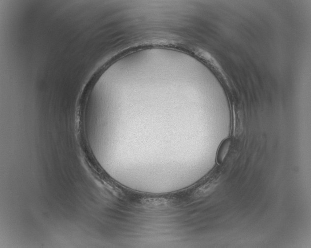 X0000074260435200609222155