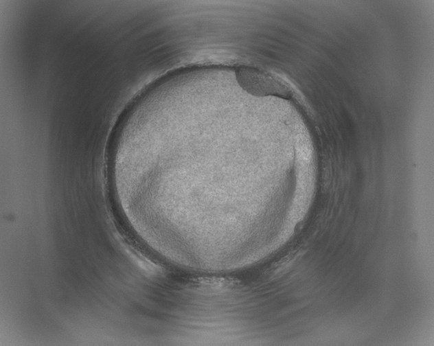 X0000074260439200609222155