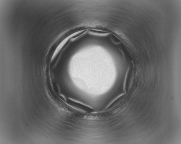 X0000074260440200609222155