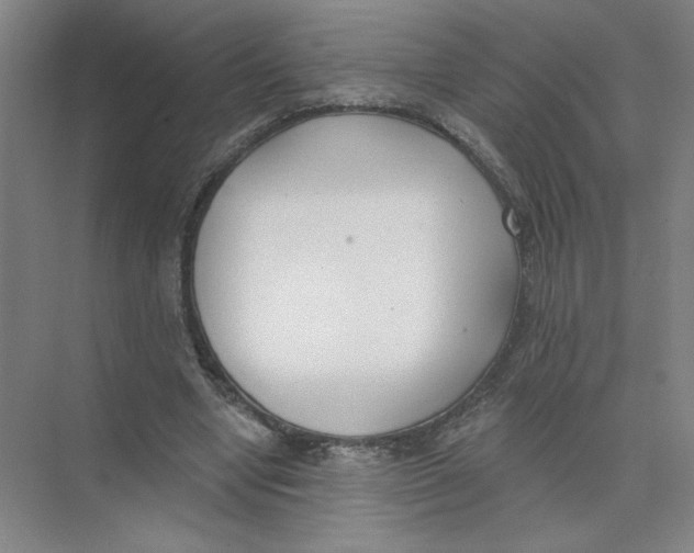 X0000074260442200609222155