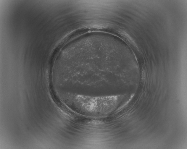 X0000074260444200609222155