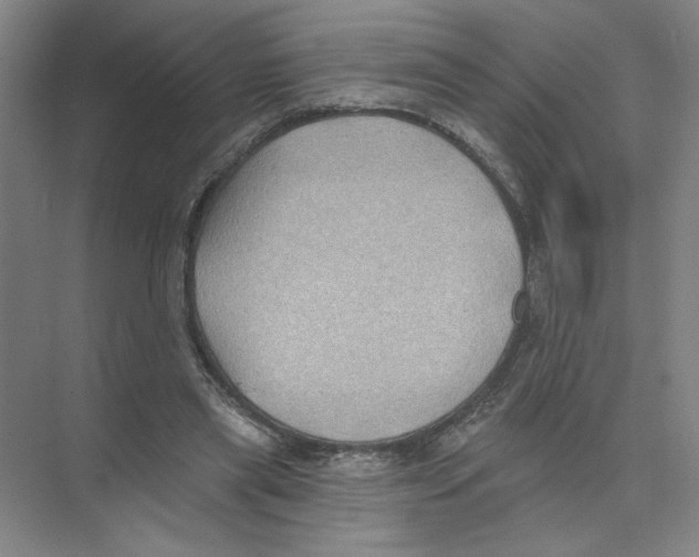 X0000074260445200609222155