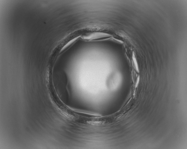 X0000074260448200609222155