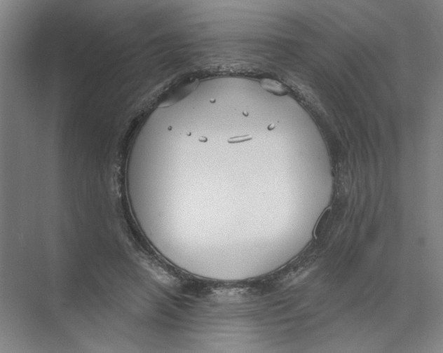 X0000074260450200609222155