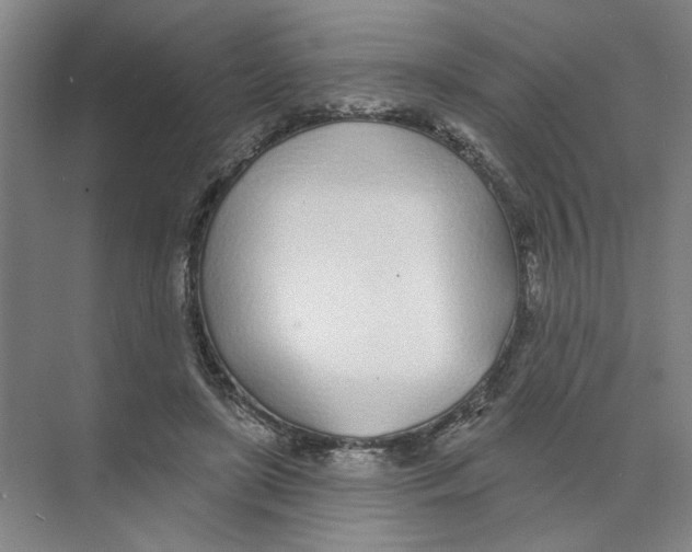 X0000074260451200609222155