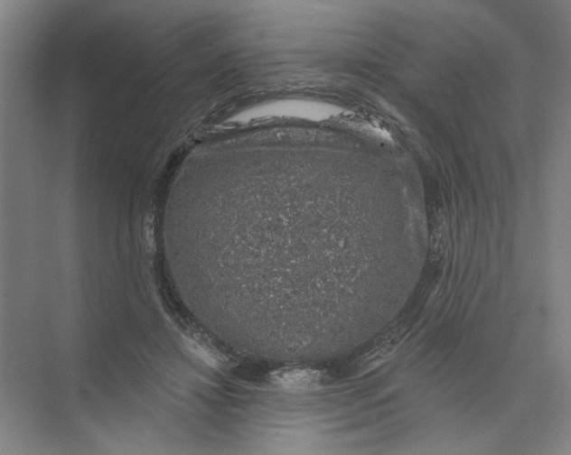 X0000074260452200609222155