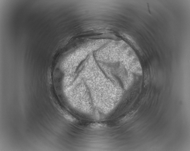 X0000074260453200609222155