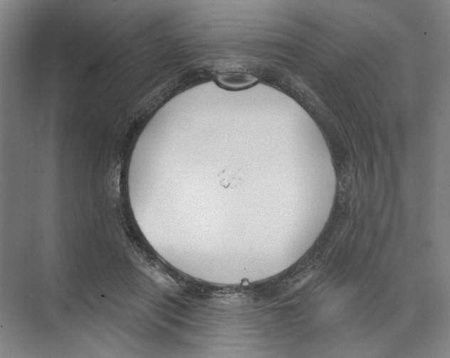 X0000074260454200609222155