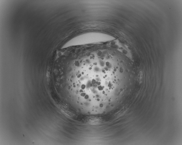 X0000074260456200609222155